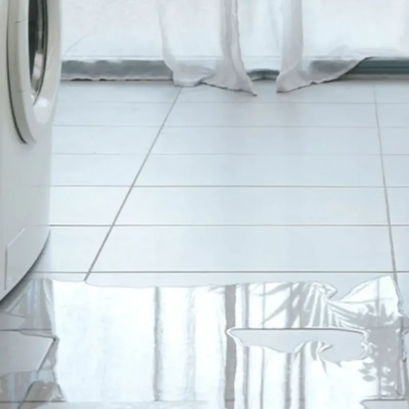 Appliance Leak Cleanup in Troy, TN