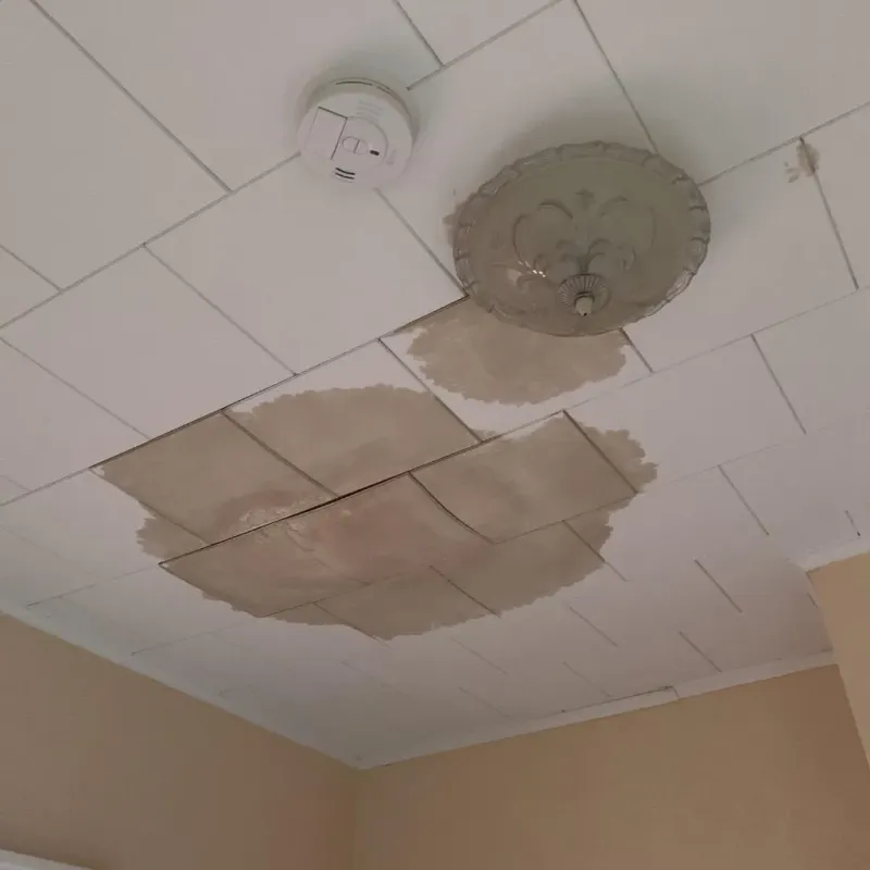 Ceiling Water Damage Repair in Troy, TN