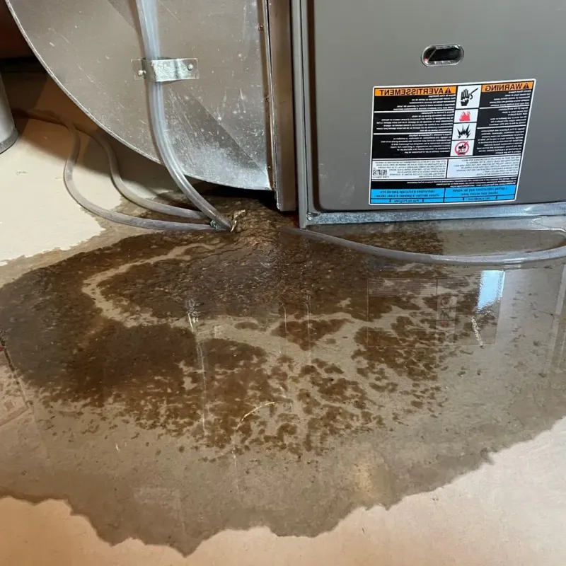 Pipe Burst and Leak Restoration in Troy, TN