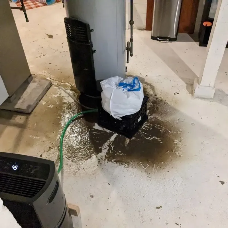 Sewage Backup Cleanup Service in Troy, TN